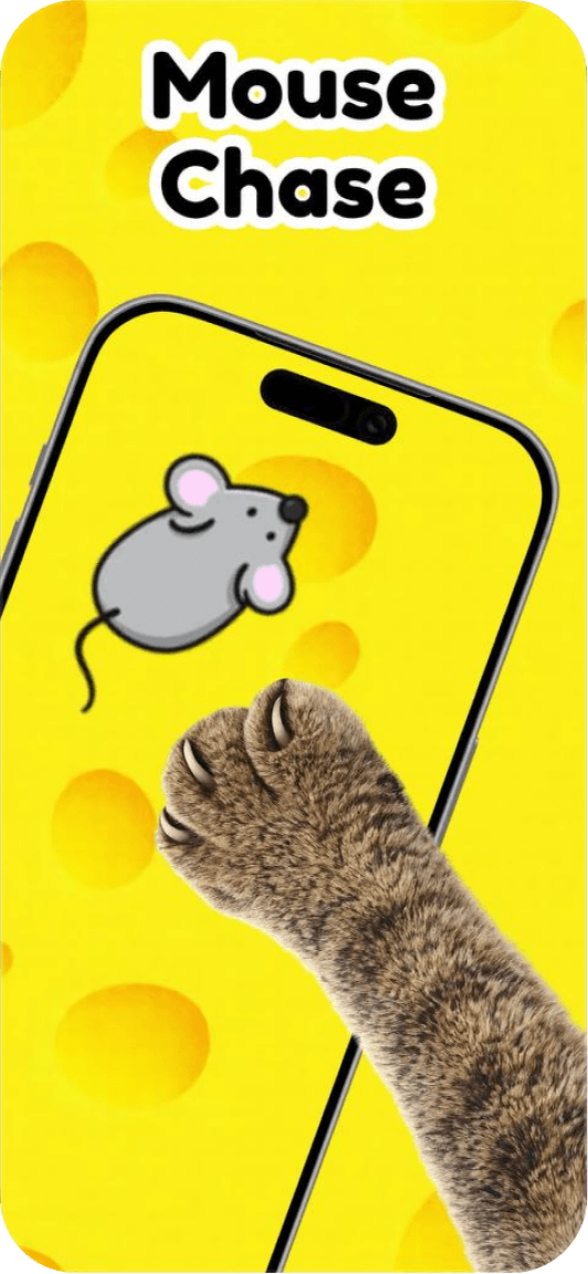 Cat Games for Cats screenshot 1