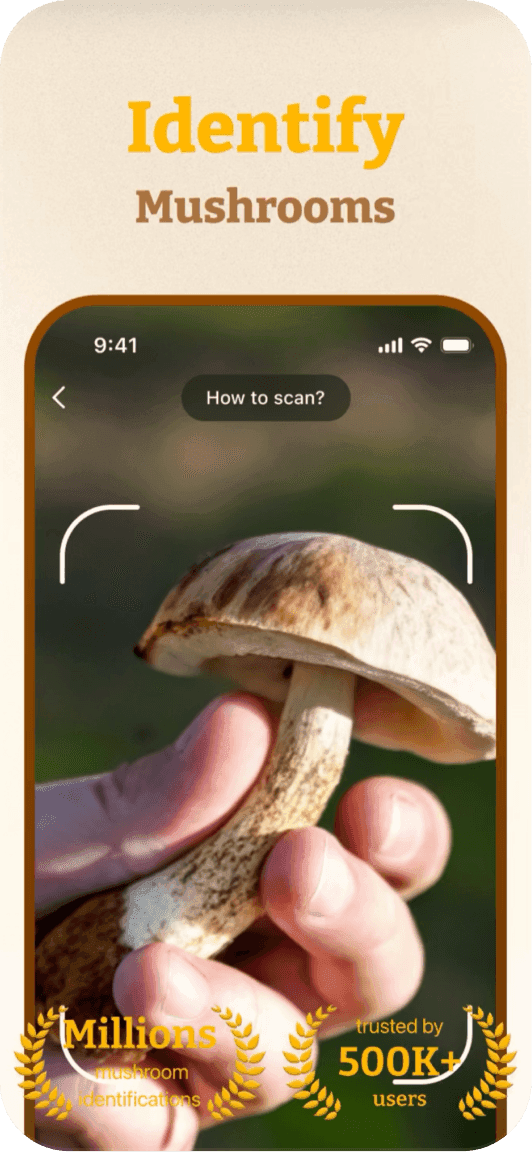 Mushroom ID screenshot 1