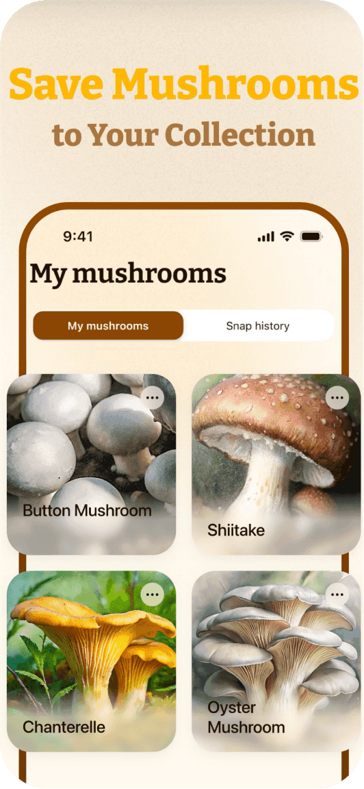 Mushroom ID screenshot 4