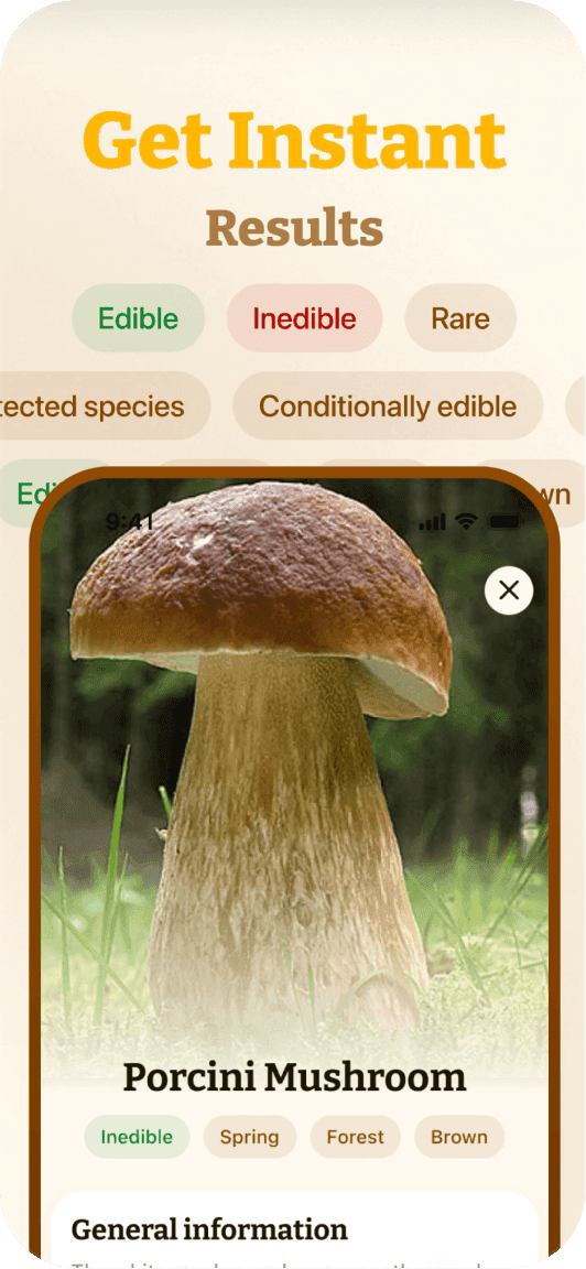 Mushroom ID screenshot 2