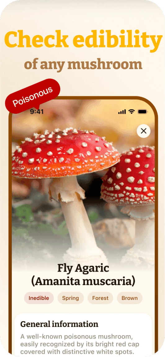 Mushroom ID screenshot 3